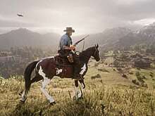 Baza: геймер в Питере спланировал реальное убийство в Red Dead Redemption 2