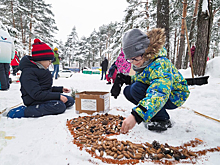 В Москве проходит фестиваль "Снежный холст"