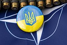 Экс-премьер Украины высказался о получателях выгоды от вступления страны в НАТО