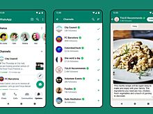 WhatsApp могут заблокировать в России из-за появления каналов