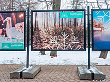 В парке «Сокольники» открылась фотовыставка на свежем воздухе