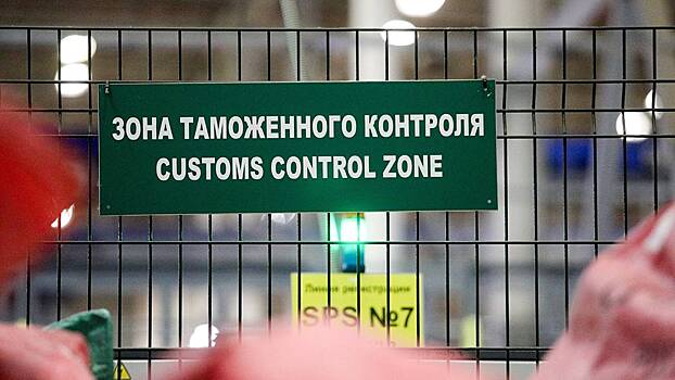 Туристка из Индии пыталась провезти в Москву опасный сувенир