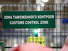 Туристка из Индии пыталась провезти в Москву опасный сувенир