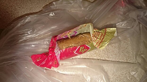 Жительница Воронежа обнаружила в купленных конфетах личинки моли