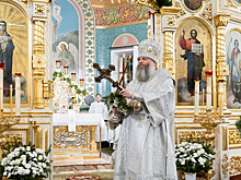 Митрополит Новосибирский и Бердский Никодим сделал рождественское послание