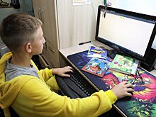 Школьников приглашают принять участие в онлайн-олимпиаде по экологии