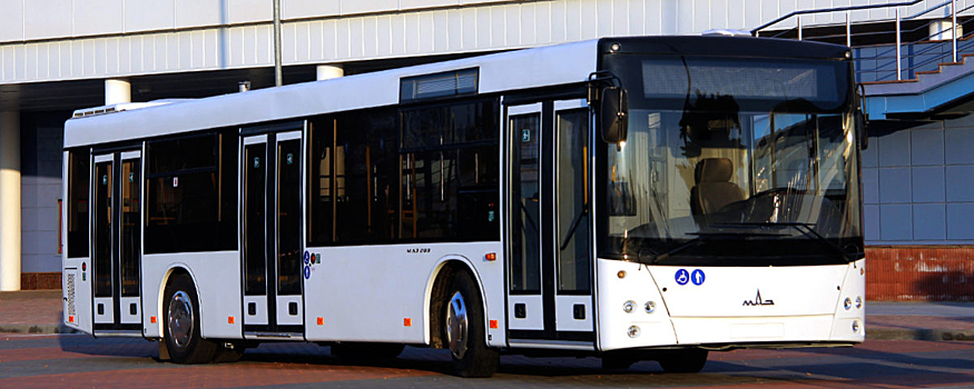 Ленинградская область в рамках транспортной реформы планирует закупить в Белоруссии почти 450 новых автобусов