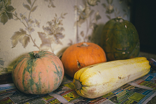 Диетолог Евдокимова назвала тыкву полезным продуктом для повышения иммунитета