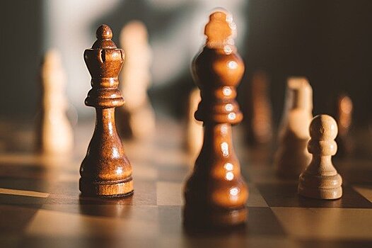 В СДЦ «Тропарево-Никулино» прошел онлайн-турнир по шахматам