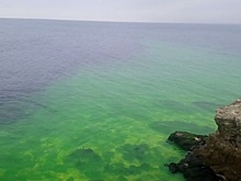 В Севастополе Черное море окрасилось в зеленый цвет