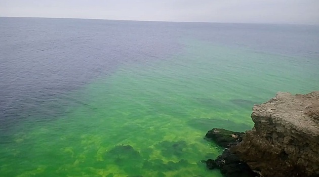 В Севастополе Черное море окрасилось в зеленый цвет