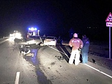 В Астраханской области из-за лошади произошло ДТП