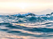 В Финляндии проинформировали о наплыве кусачих окуней в местные воды