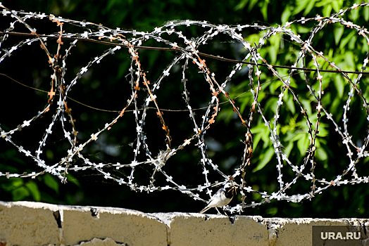 РЕН ТВ: организовавший преступное сообщество генерал МВД Сугробов вышел из колонии