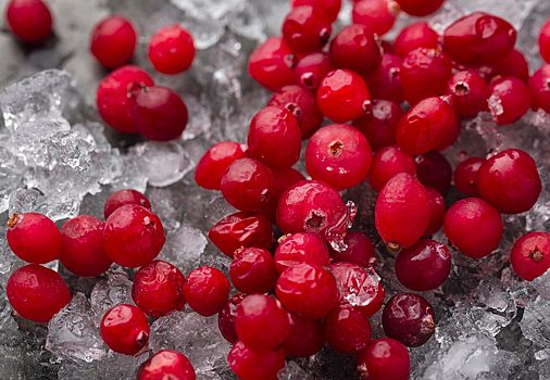 Роспотребнадзор: брусника полезна при простуде и гриппе