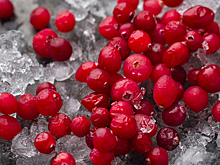 Роспотребнадзор: брусника полезна при простуде и гриппе