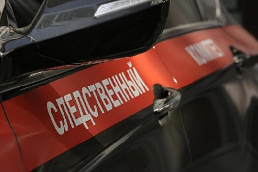 Московские следователи возбудили дело о пропаже ребенка с детской площадки