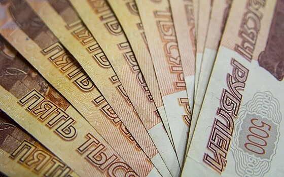 В Рязани в 2020 году выявили 11 нелегальных кредиторов и финансовую пирамиду