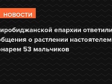 В Биробиджанской епархии ответили на сообщения о растлении настоятелем и звонарем 53 мальчиков