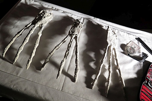 В Юго-Восточной Азии нашли самые древние в мире мумии возрастом до 12 тысяч лет