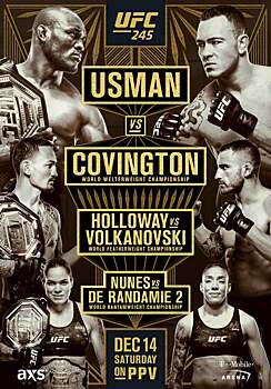 Официальный постер UFC 245 – 🔥