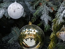 Волгоград в топе: лучшие города для зимнего отдыха по версии туристов