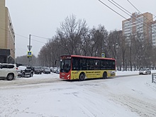 Хабаровские перевозчики объяснили, почему повышают стоимость проезда