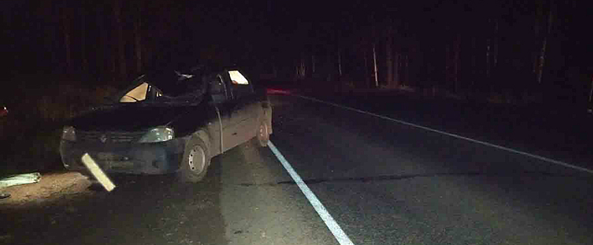 Мальчик получил травмы при столкновении с лосем в Удмуртии