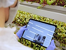 В Москве назвали победителей конкурса «Городская мастерская семейного творчества»