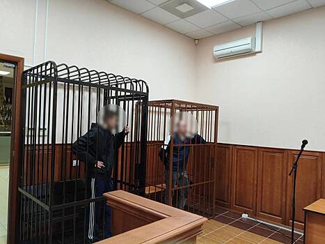 Вывоз ребенка из России оценили в 40 тысяч евро