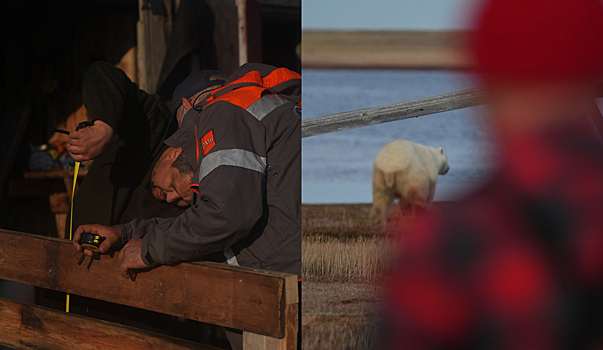 «Заряд эмоций на весь год»: блогер Ждан показал кадры путешествия по острову Шокальского. ВИДЕО