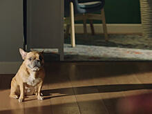 «Яндекс» выпустил второй сезон сериала в поддержку умного дома