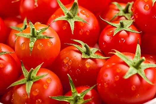 Россельхознадзор разрешит поставки томатов из Узбекистана