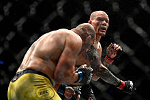 UFC Fight Night 171: Тейшейра победил Смита в главном бою