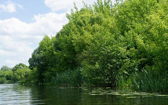 В Курске женщина погибла при аварии на гидроцикле на Сейме