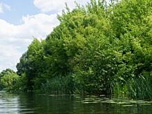 В Курске женщина погибла при аварии на гидроцикле на Сейме