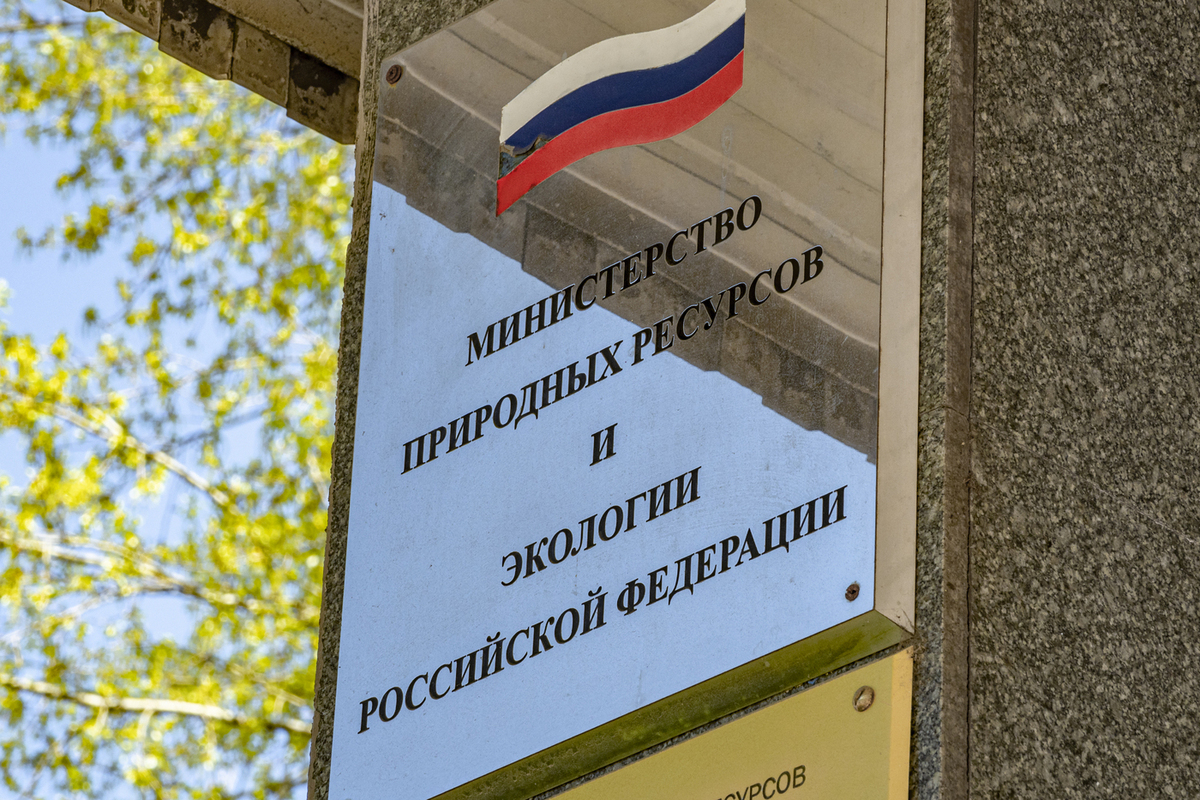 Стало известно имя нового замминистра природных ресурсов и экологии