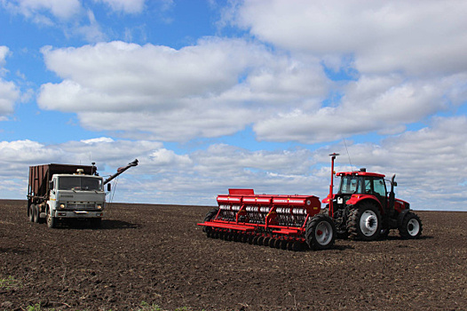 Работать по классике, сеять новаторски: как устроен семейный агробизнес в Самарской области