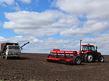 Работать по классике, сеять новаторски: как устроен семейный агробизнес в Самарской области