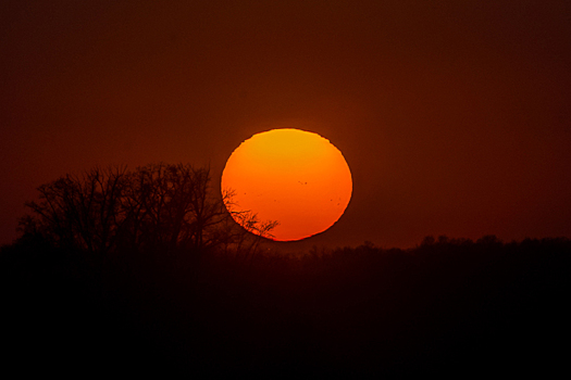 Мощные магнитные бури обрушатся на Новосибирскую область 25-26 марта