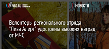 Волонтеры регионального отряда "Лиза Алерт" удостоены высоких наград от МЧС