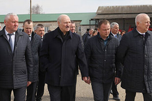 Аграрии Беларуси и России сверили балансы