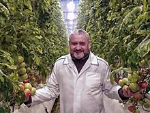 Коми-2019: волчья охота, спортивное первенство и неразборчивый отец
