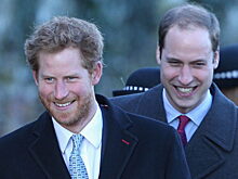 Жесткий ультиматум: раскрыто условие прекращения вражды принцев Гарри и Уильяма