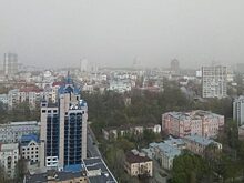 Политолог сравнил Киев с Сахарой из-за облаков пыли от пожаров в Чернобыле