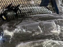 Прокуратура проводит проверку после отравления двух человек гексеном в казанской автомойке