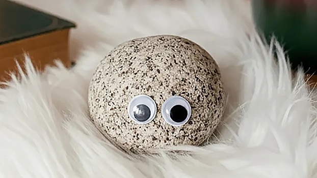 Камни с глазами захватывают мир: что нужно знать о петрокерах