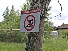 Девочка решила искупаться и едва не утонула из-за судороги