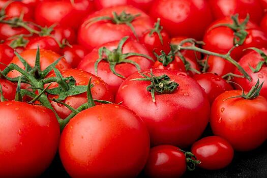 В Челябинскую область из Туркменистана приехала томатная моль