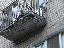 В Калининграде две гнилые берёзы стали неразрешимой проблемой для жильцов соседних домов